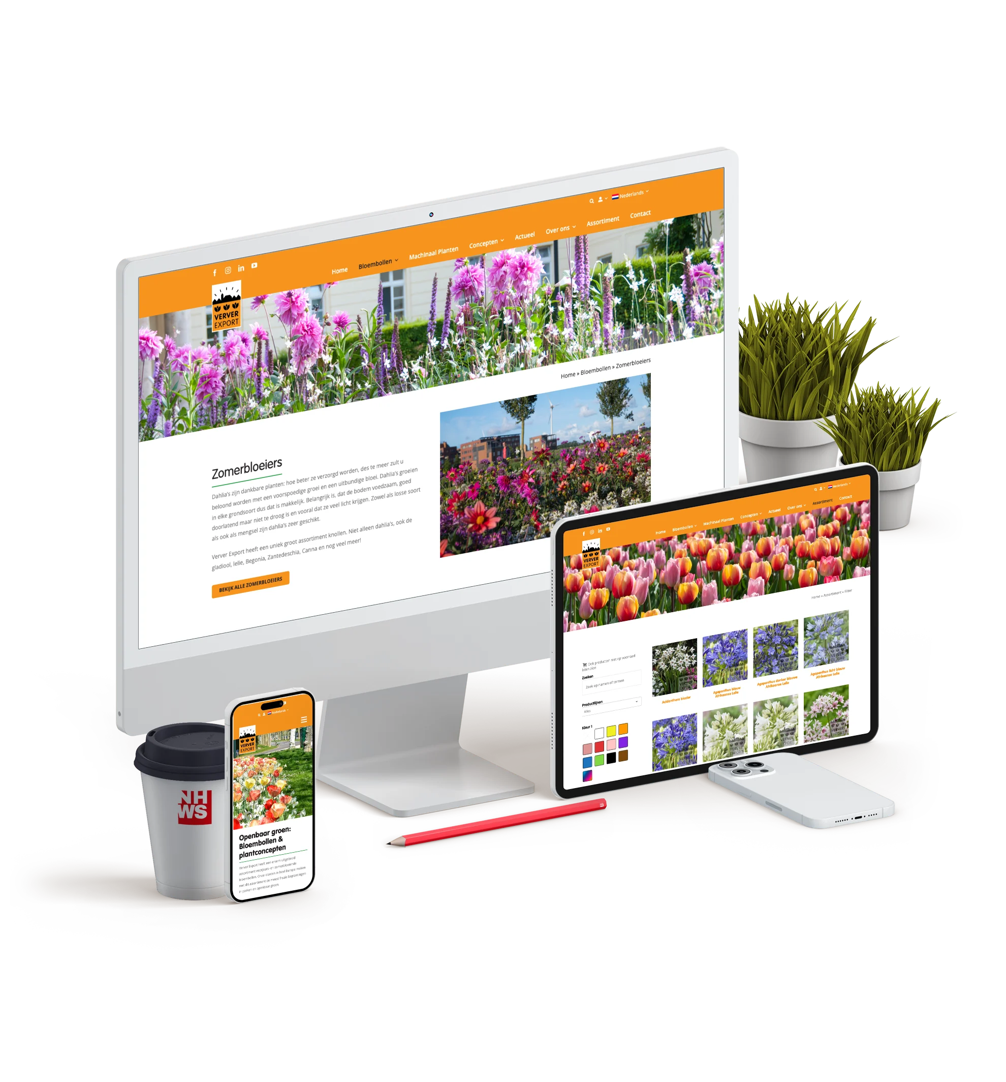 Lees verder over Verver Export. Natuurlijk door NHWS, WordPress websites en webshops uit Alkmaar 